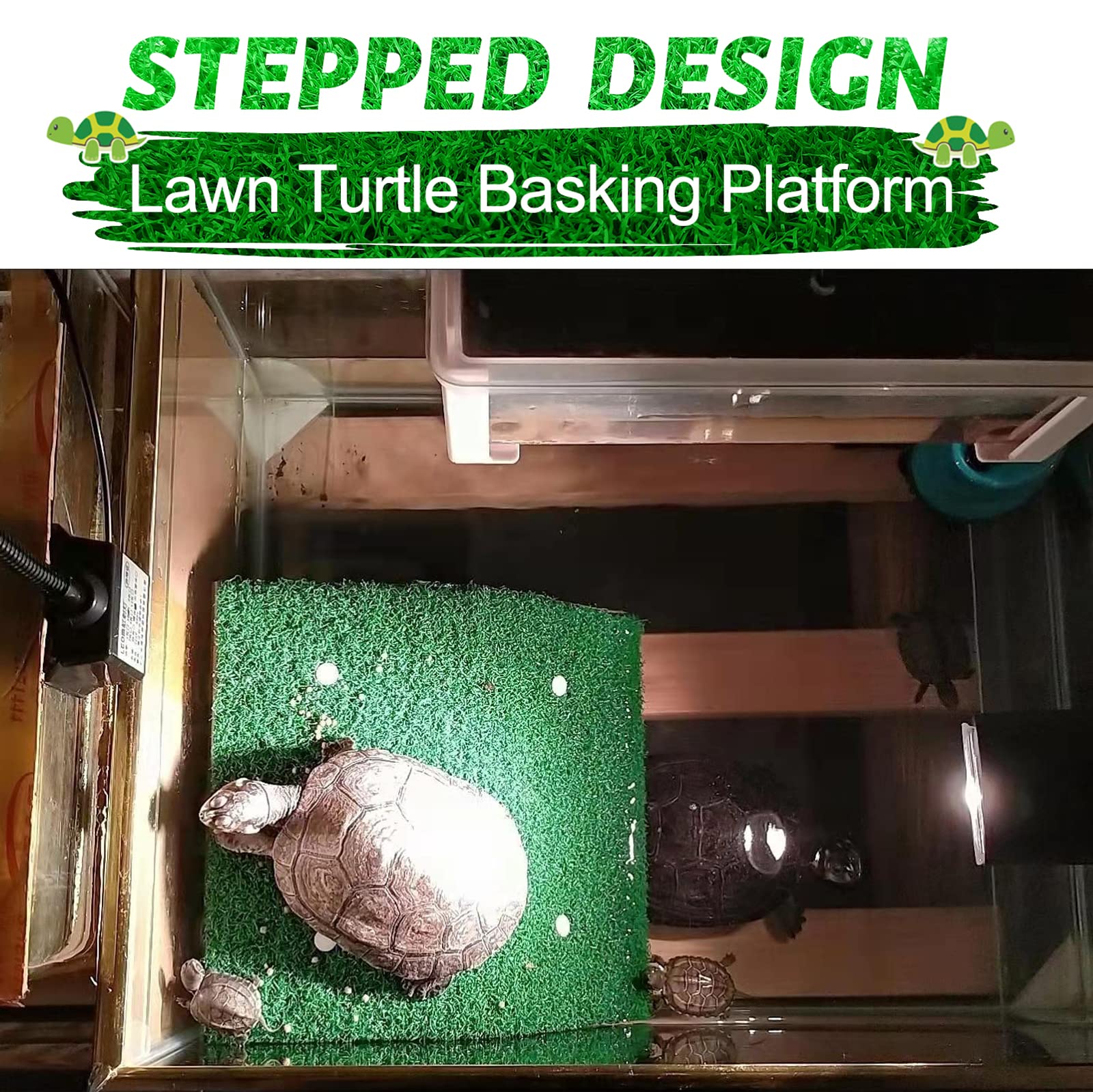 Keedolla artificial grass turtle terrace adds traction for confident climbs.