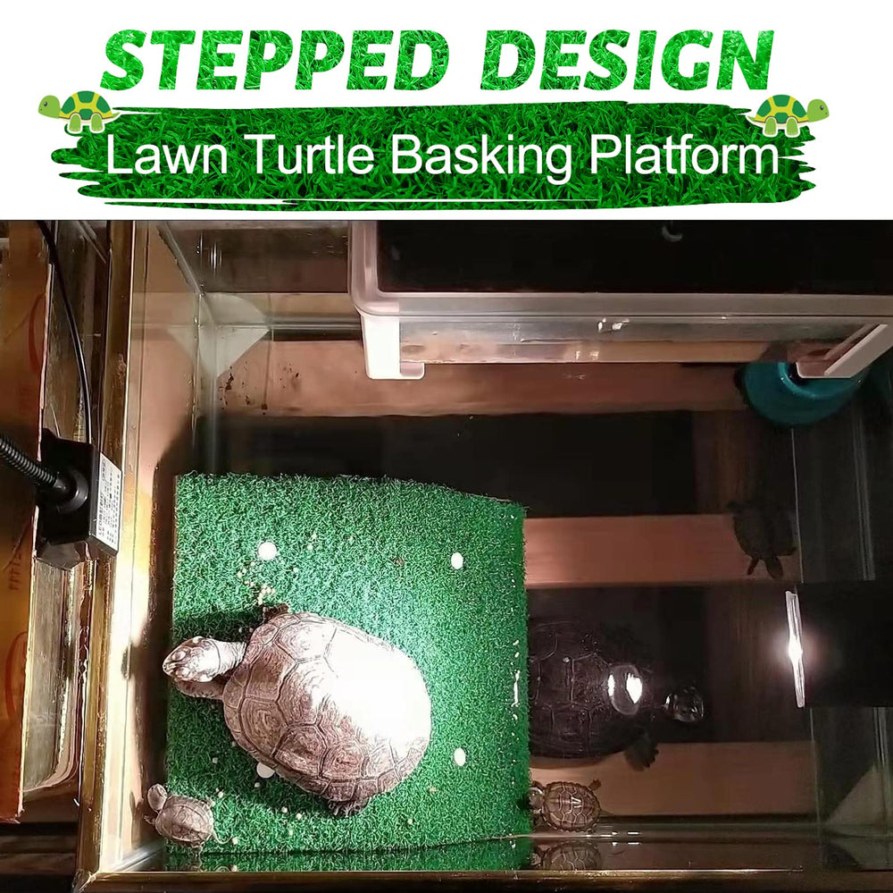 Keedolla artificial grass turtle terrace adds traction for confident climbs.