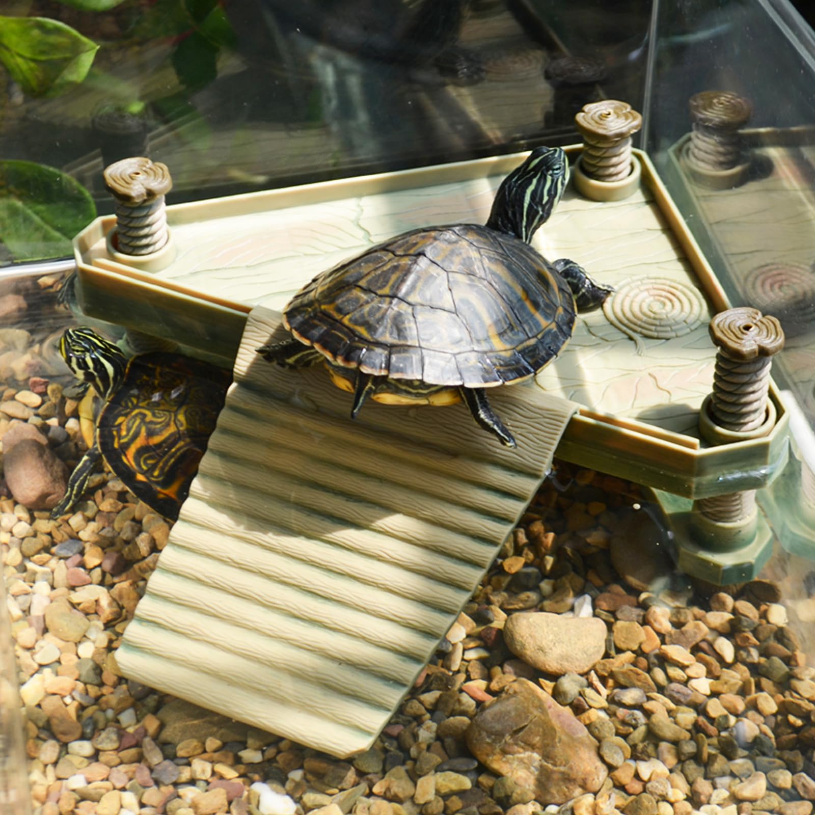 Keedolla floating dock with suction cups attached to tank bottom
