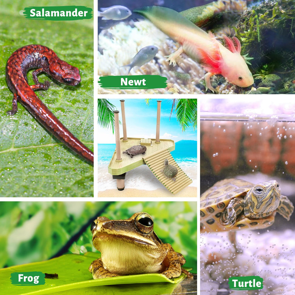Keedolla platform dimensions help ensure proper tank fit.