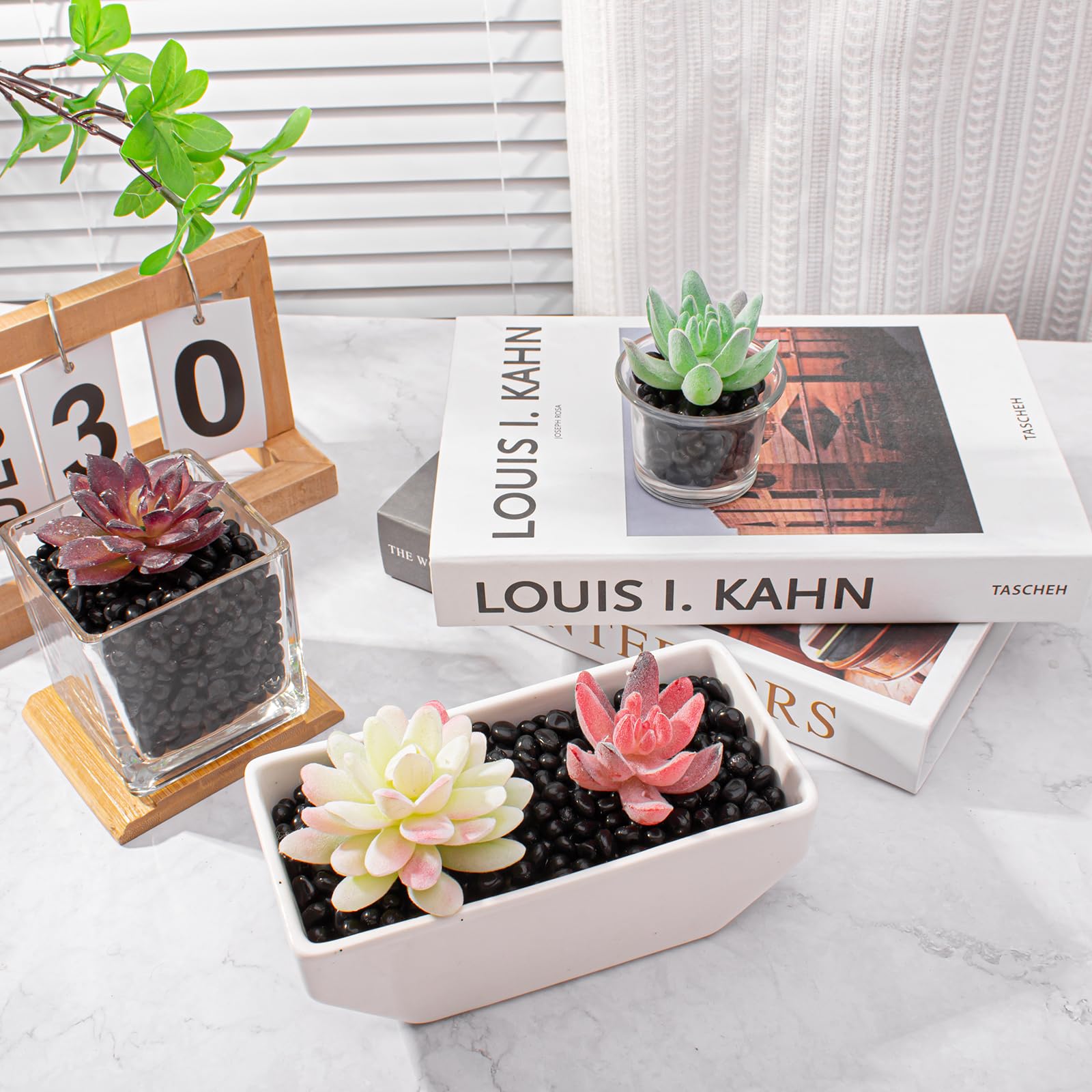 Keedolla decorative pebbles for succulents, dramatic contrast in planters.