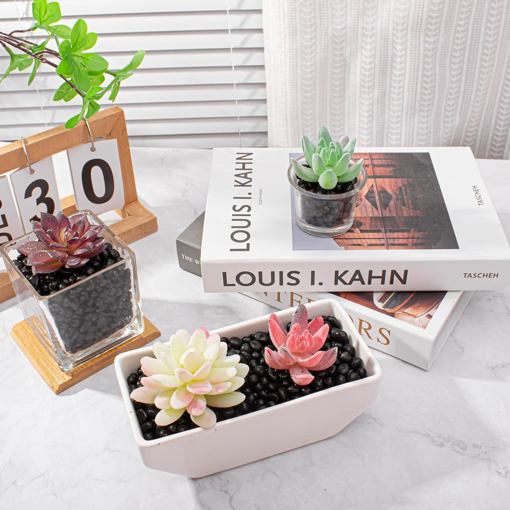 Keedolla decorative pebbles for succulents, dramatic contrast in planters.