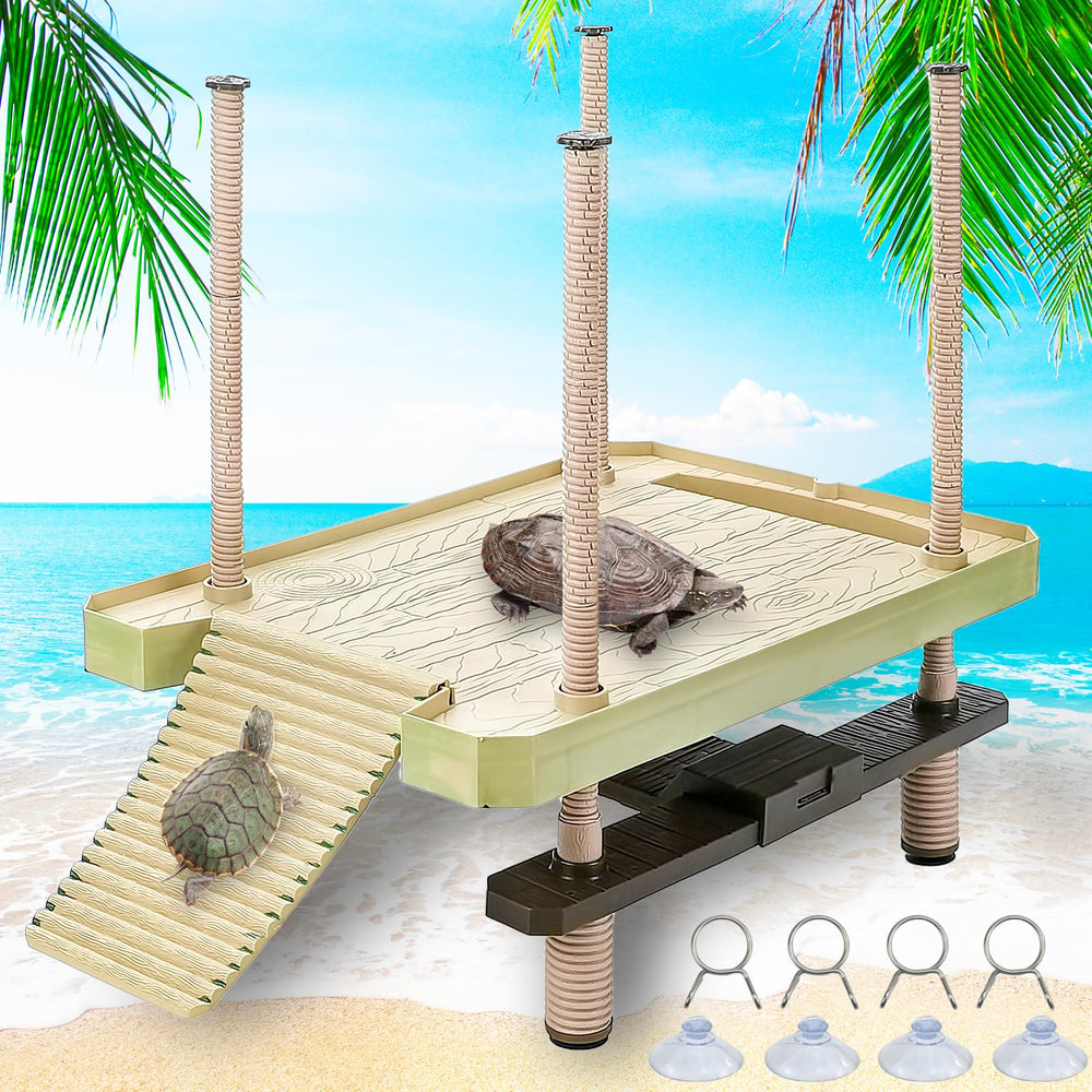 Keedolla large turtle platform feeding area shows a stable basking dock for turtles.