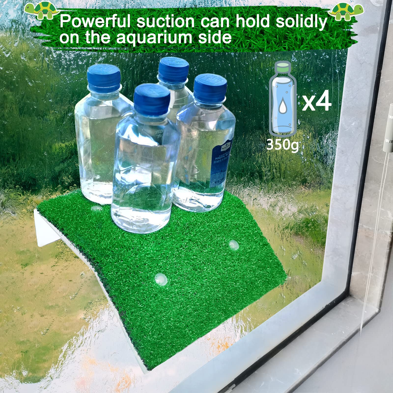 Keedolla tank habitat terrace enhances tank aesthetics and usable basking space.