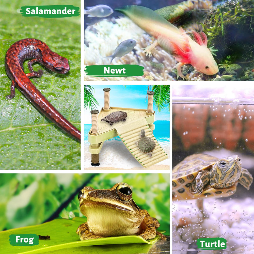 Keedolla versatile basking platform in aquarium setup and use cases