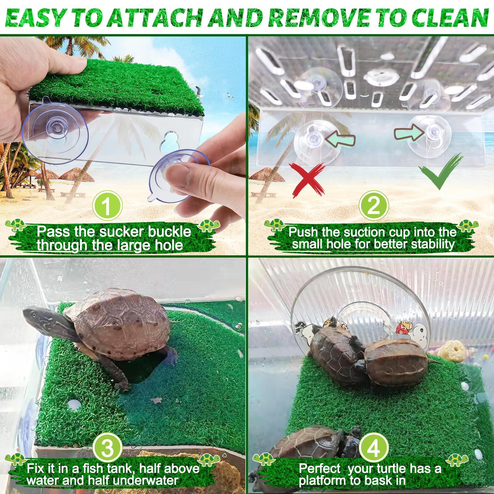 Keedolla turtle platform with suction cups stays securely in place.