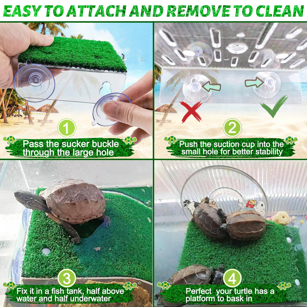 Keedolla turtle platform with suction cups stays securely in place.