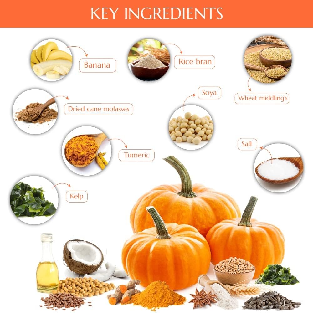 Kelcies Pumpkin Spice aromatic scent to boost appeal during sessions