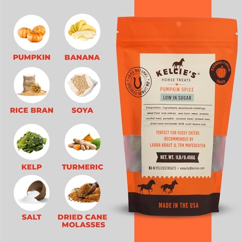 Kelcies Pumpkin Spice crunchy-texture close-up demonstrates durable, mess-free reward