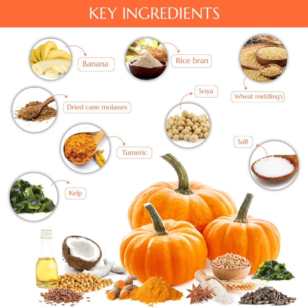 Kelcies Pumpkin Spice treats digestion-friendly snack ideal for careful diets