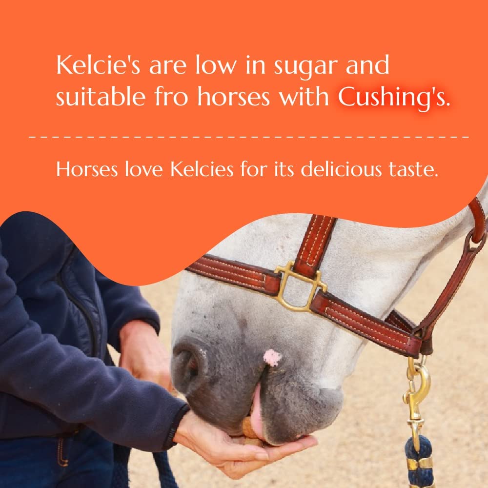 Kelcies Pumpkin Spice treats aroma attracts horses during feeding