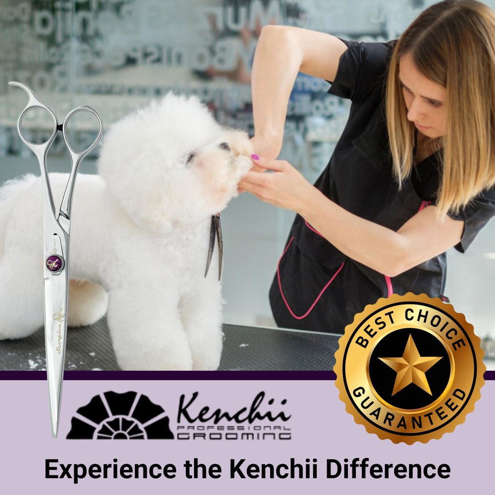 Kenchii Scorpion 8inch straight shear in-box with accessories and warranty.