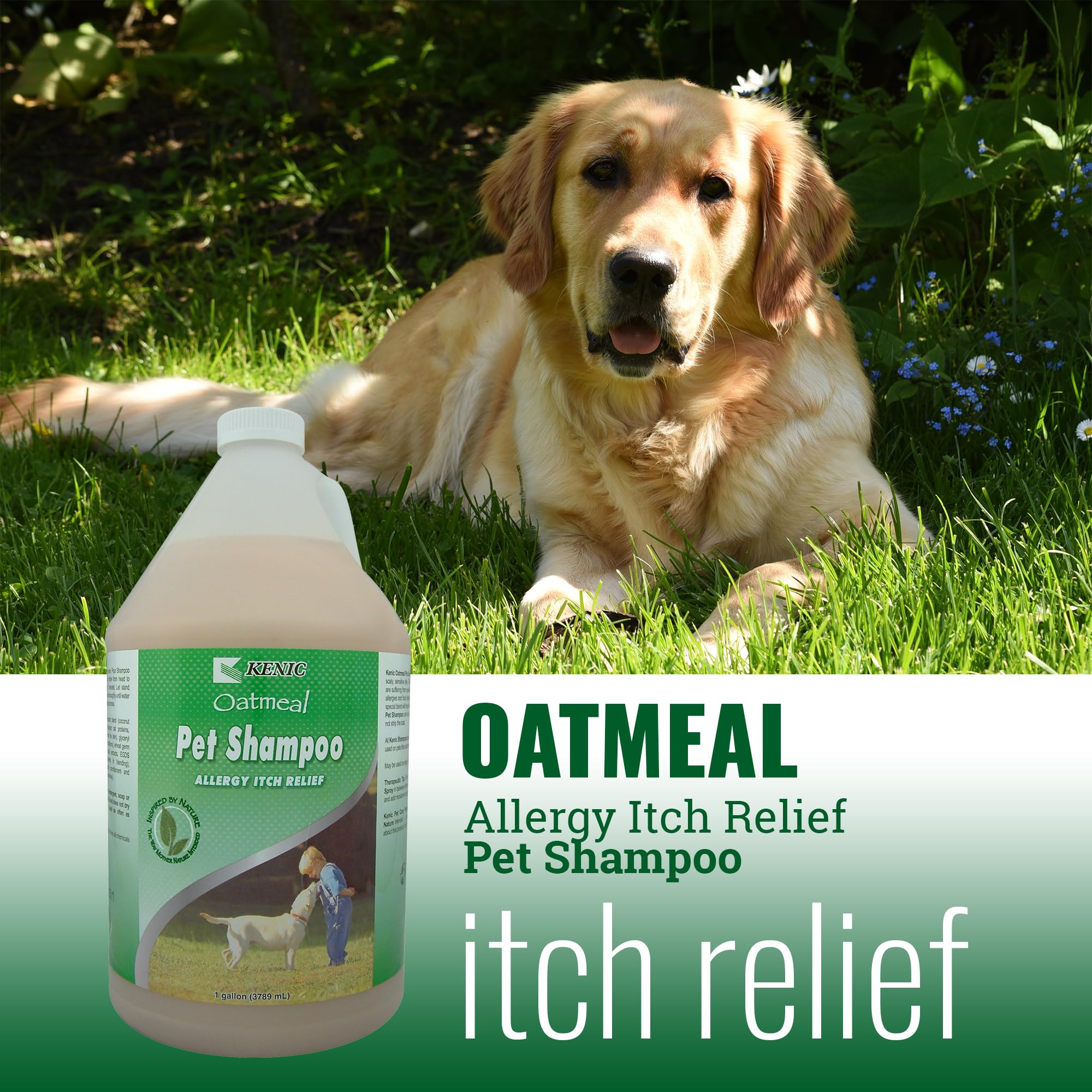 Kenic Oatmeal Anti-Itch Pet Shampoo foam emphasizes gentle cleansing for puppies and sensitive pets.