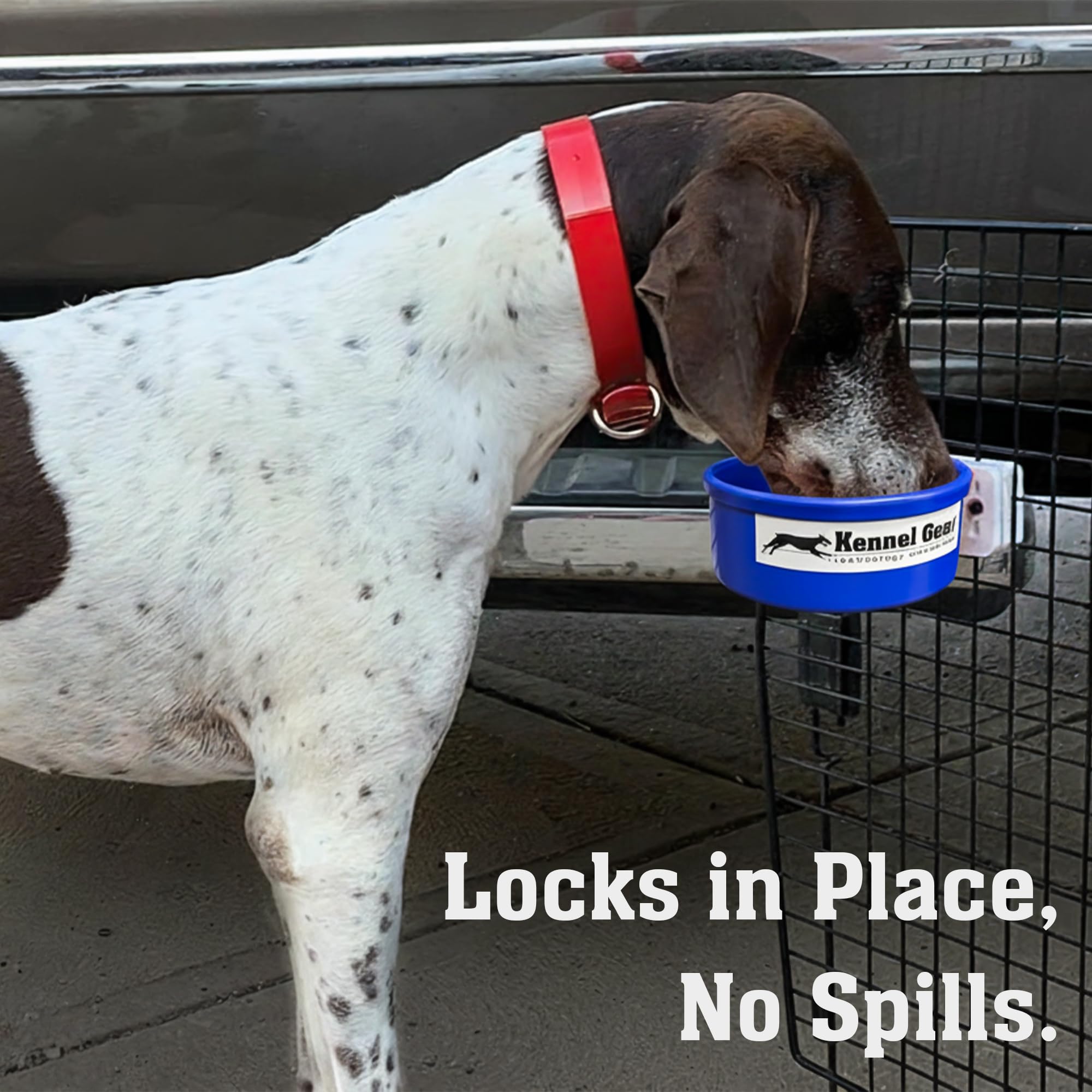 Kennel-Gear secure bracket keeps the bowl in place during travel and activity.