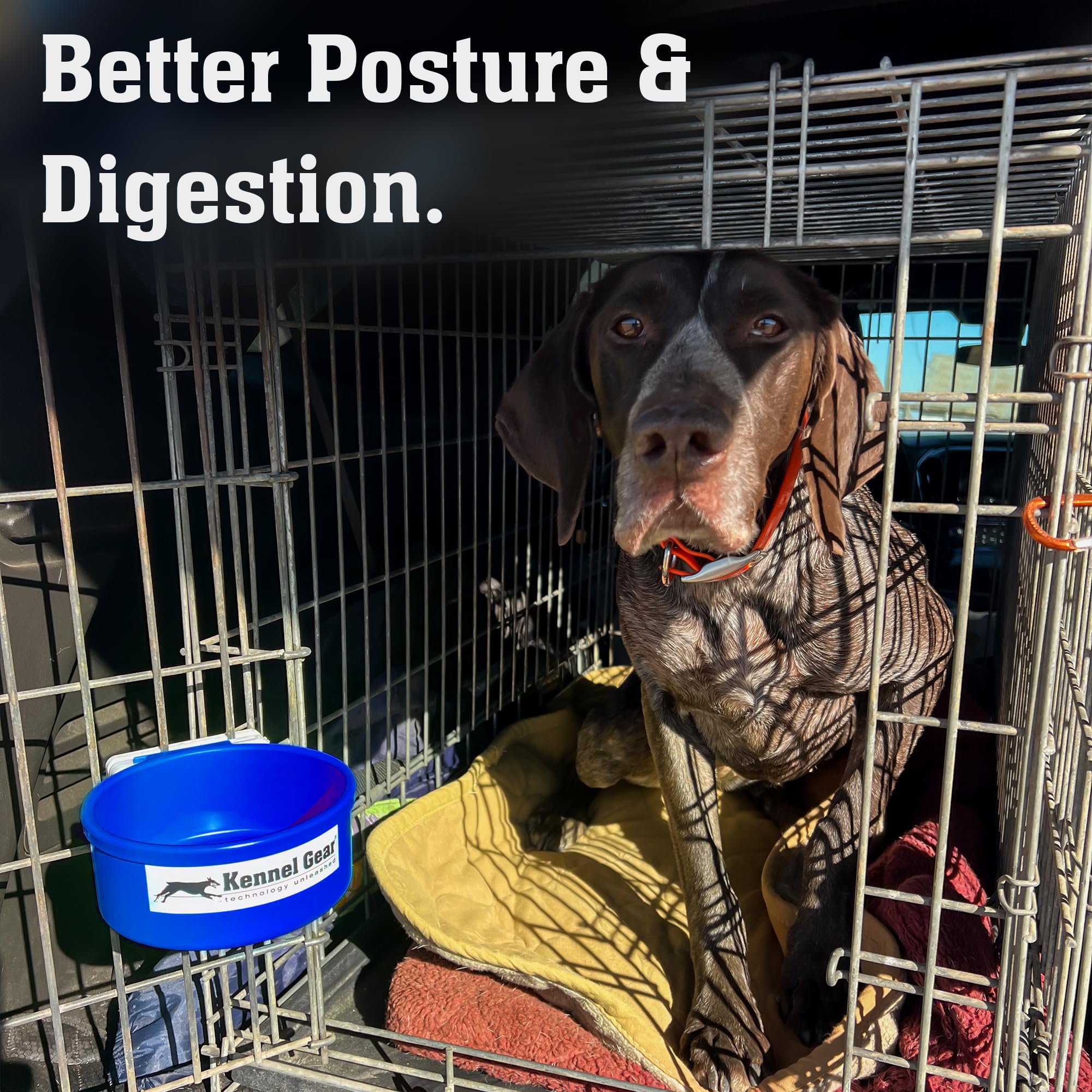 Kennel-Gear travel-friendly crate bowl blue is ready for shows, trips, and daily use.