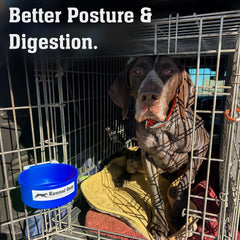 Kennel-Gear travel-friendly crate bowl blue is ready for shows, trips, and daily use.
