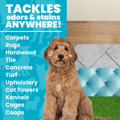 Unique cleaner kennels and pens cleaning application demonstrates versatile odor removal