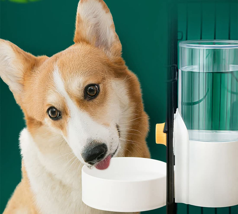 Kenond 40oz water dispenser—clear bottle for easy monitoring