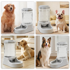 Kenond 9-5l capacity dispenser shown in use demonstrates long-lasting hydration for pets.