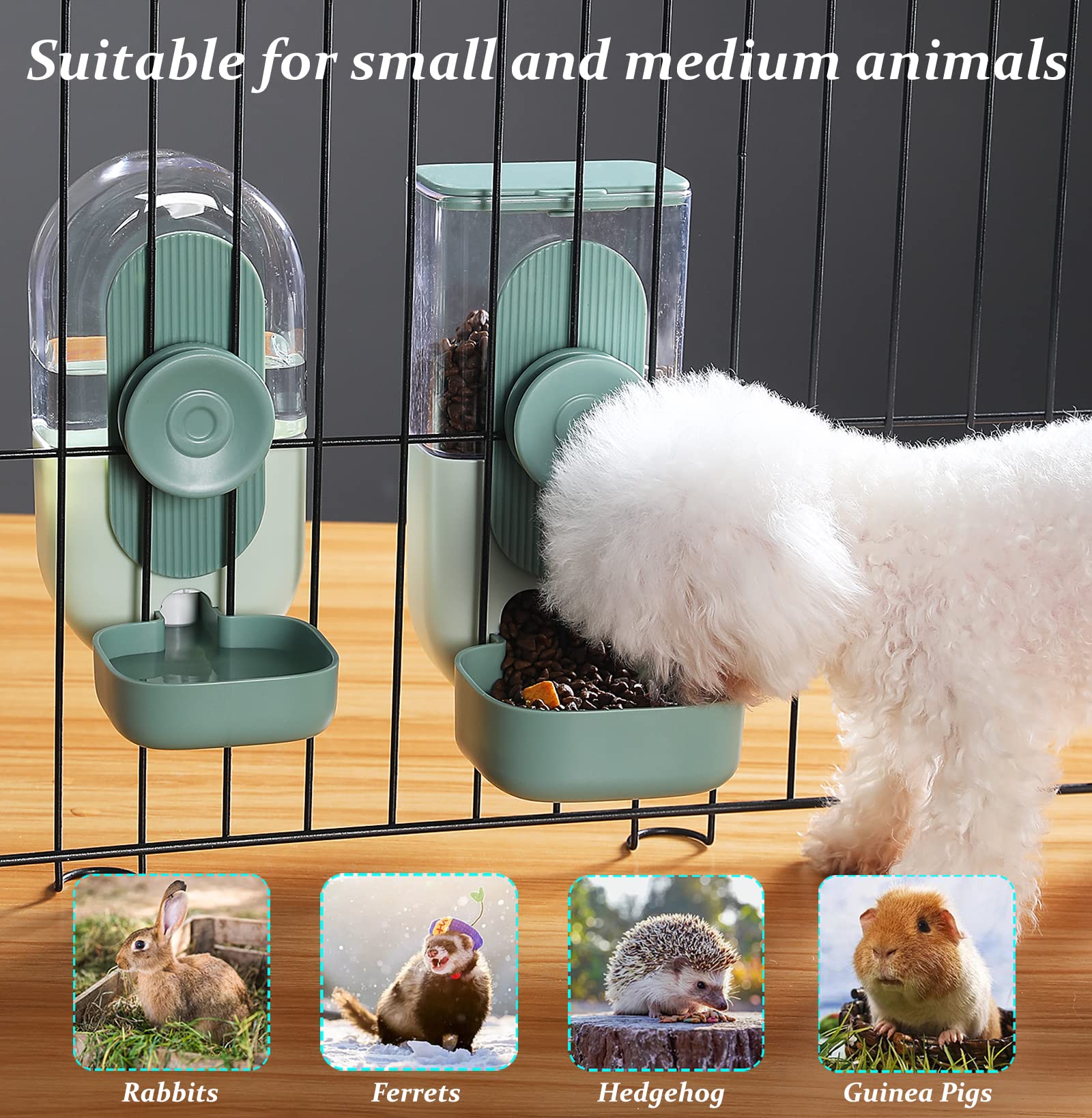 Kenond large-capacity 35oz feeder and waterer in green for longer intervals.