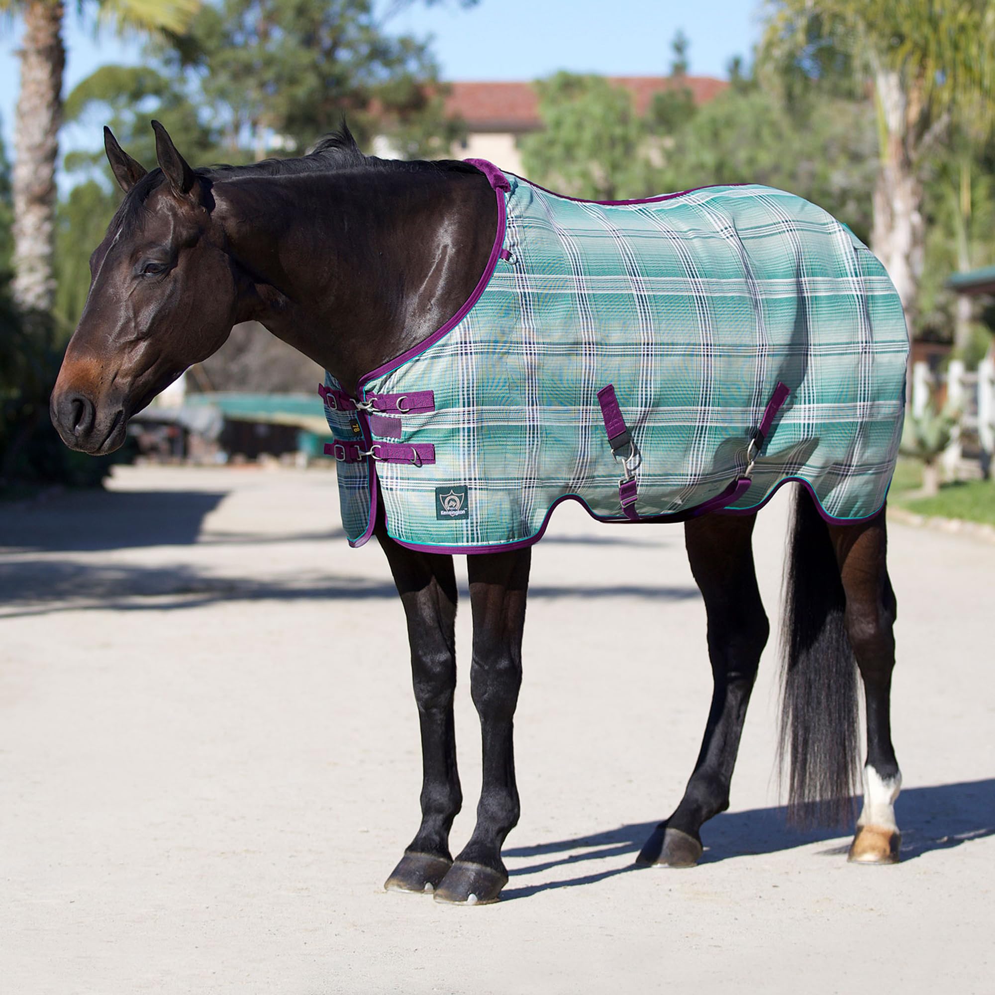 Kensington breathable sheet detachable leg straps add security during turnout.