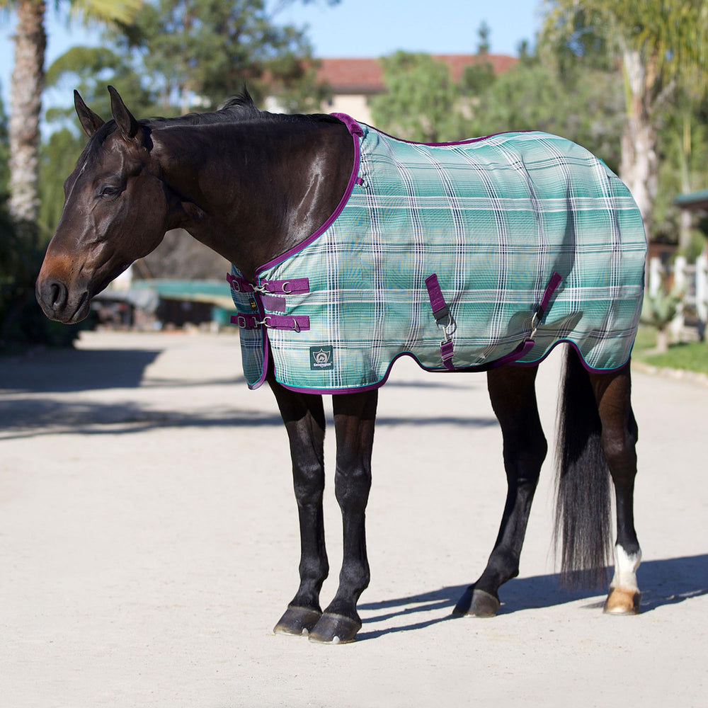 Kensington breathable sheet detachable leg straps add security during turnout.