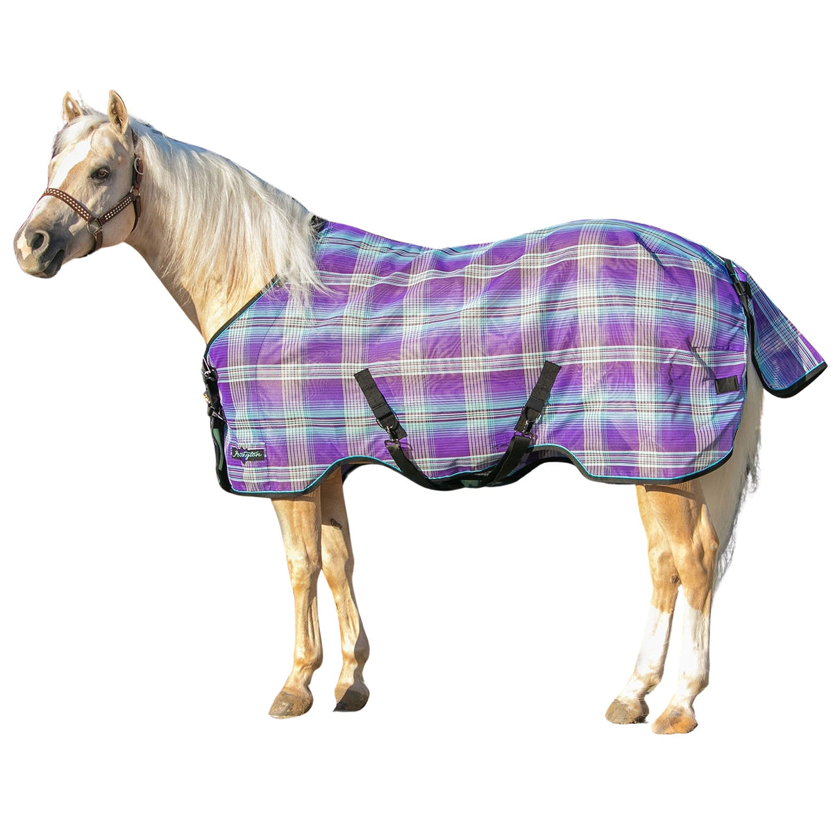 Kensington Protective Sheet front clip closure on horse for easy on-off and secure fit
