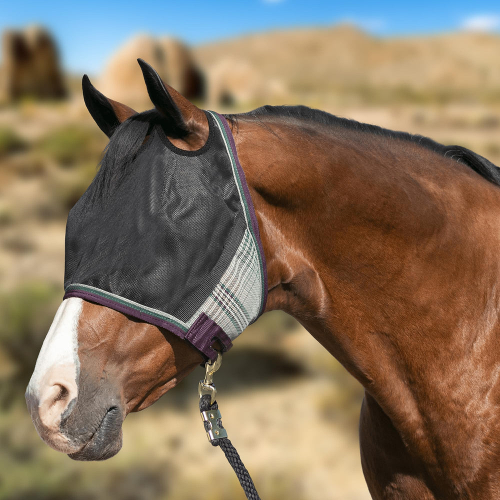 Kensington CatchMask halter-closed strap demonstrates integrated halter functionality for easy handling
