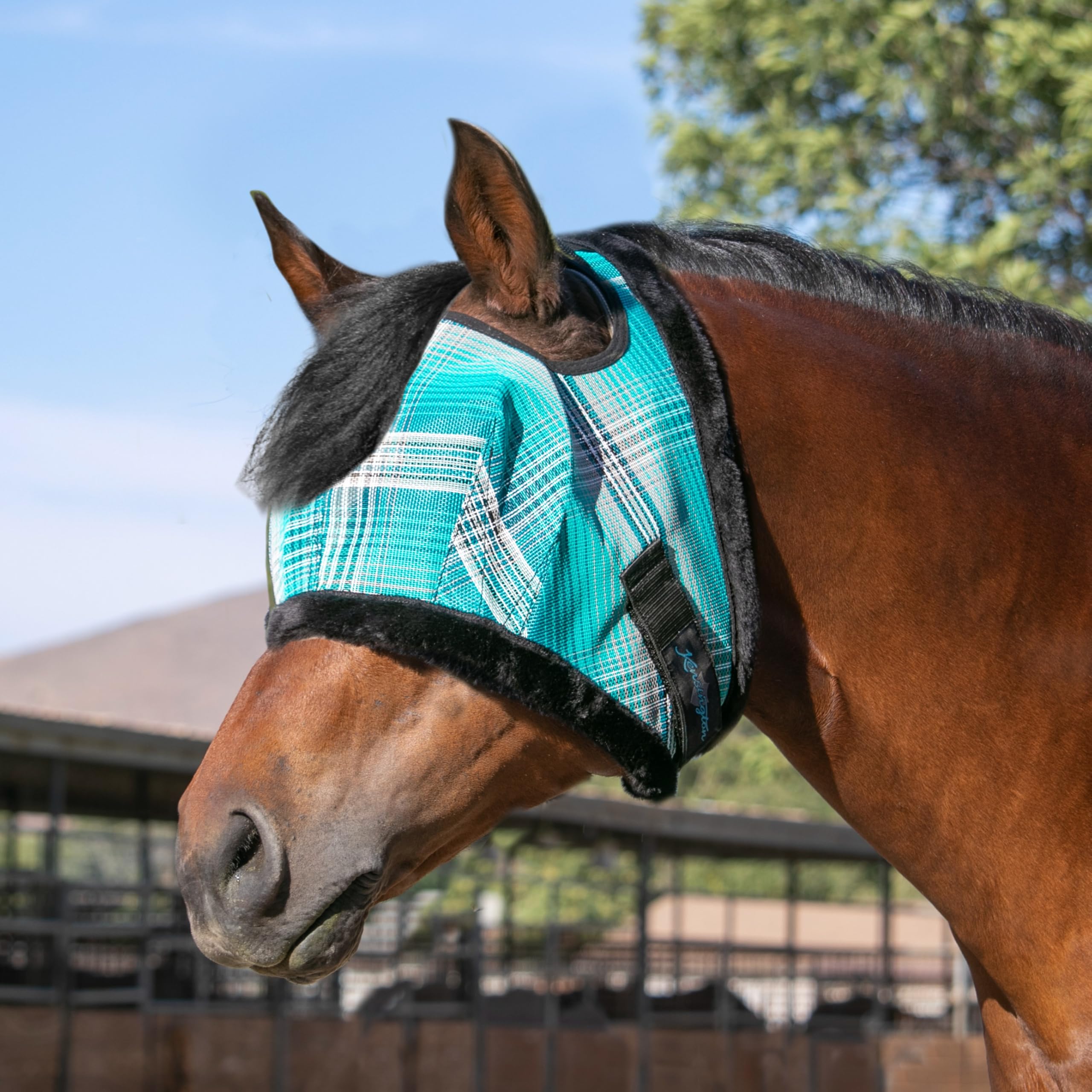 Kensington Fly Mask Atlantis chin-strap secures fit during rides
