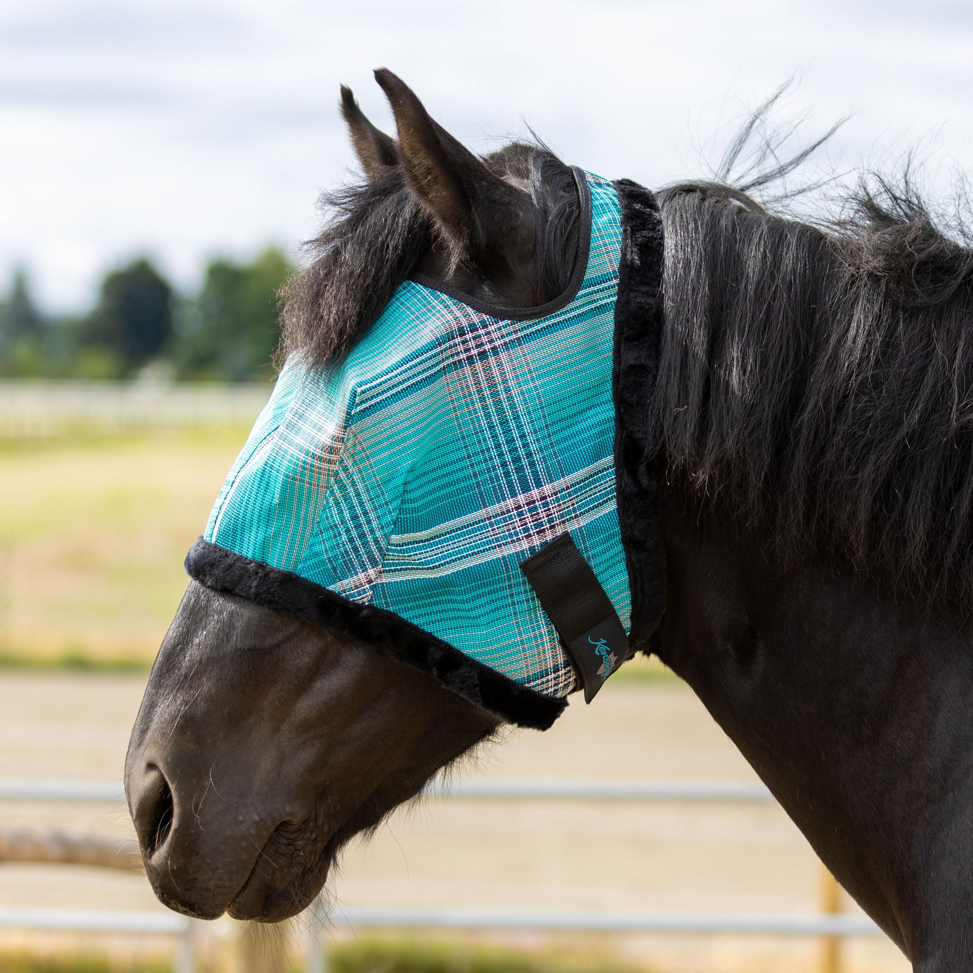 Kensington Fly Mask Atlantis eye area protects eyes from insects while maintaining clarity