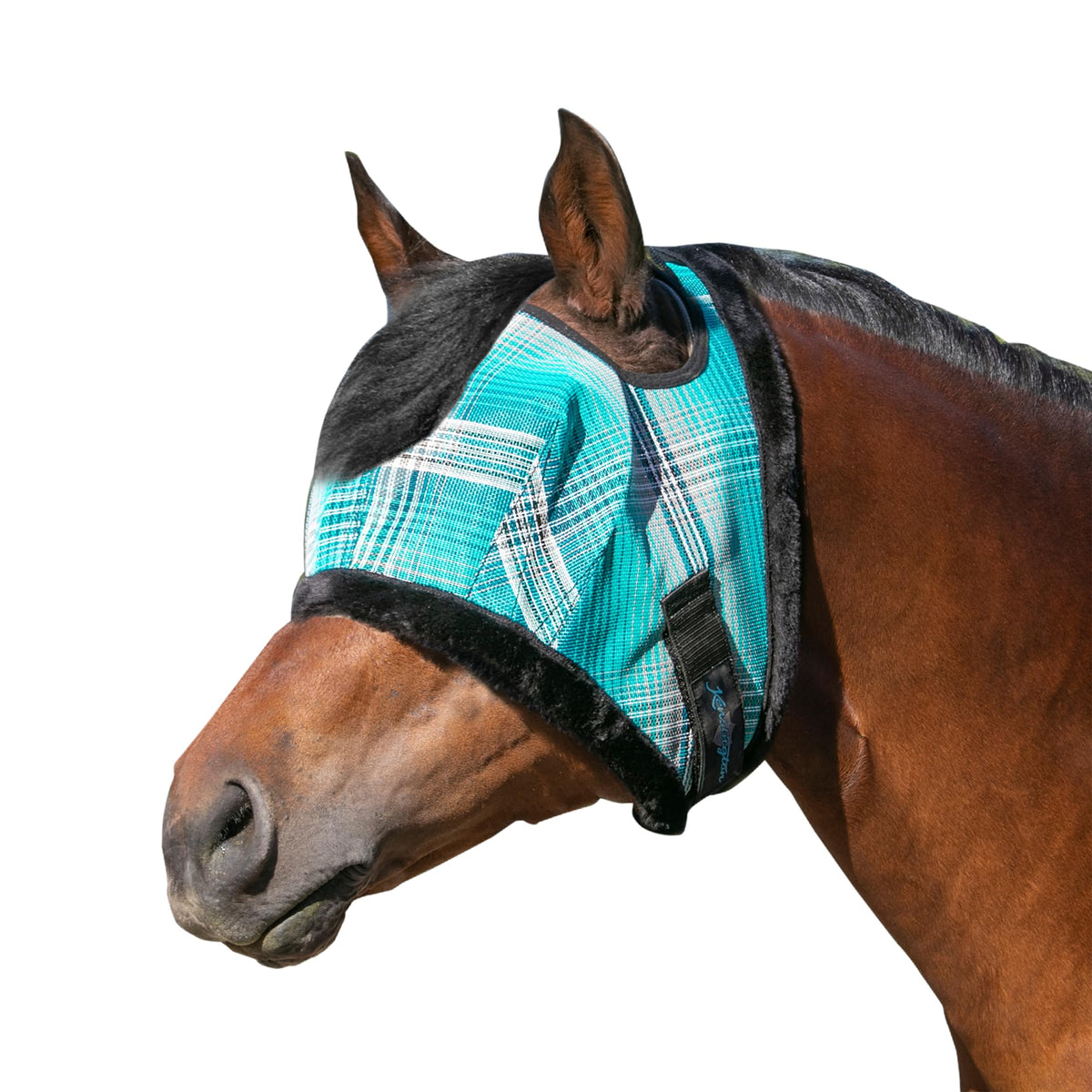 Kensington Fly Mask Atlantis face view showing full visibility and fly protection