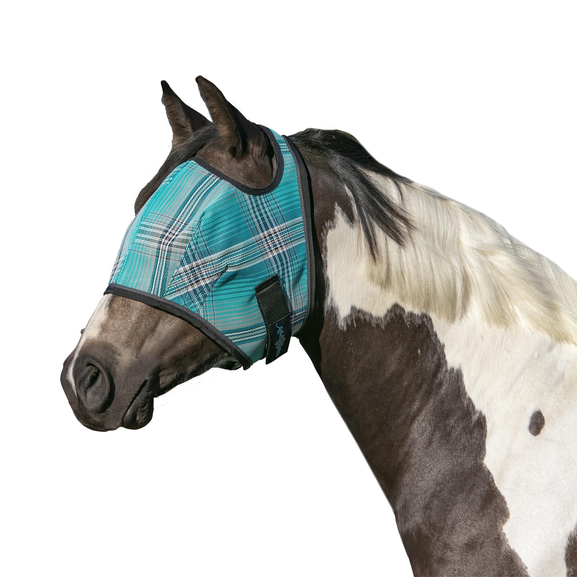 Kensington Fly Mask Atlantis front view demonstrates bite protection and clear visibility.