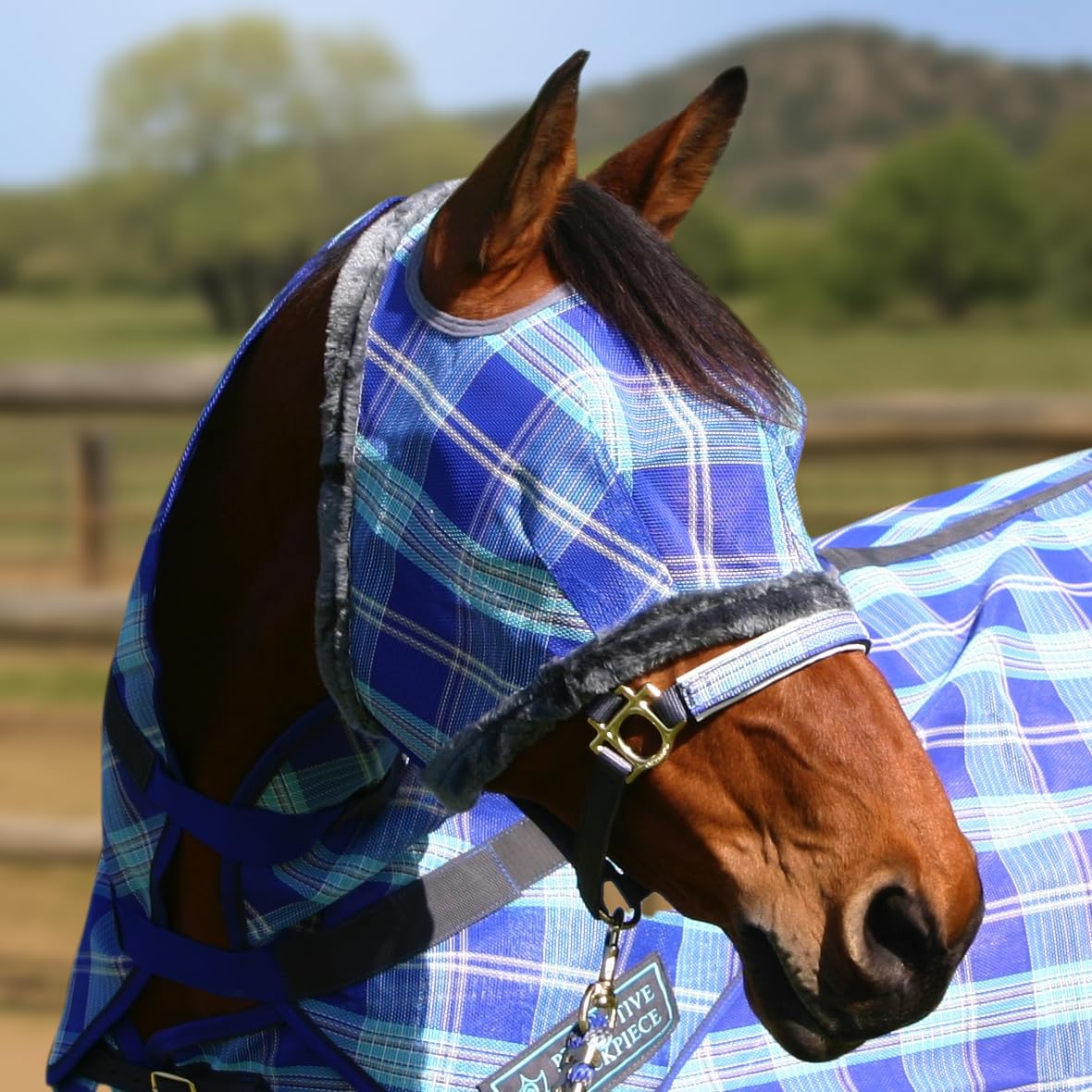 Chin strap keeps Kensington Fly Mask secure on diverse horse builds.