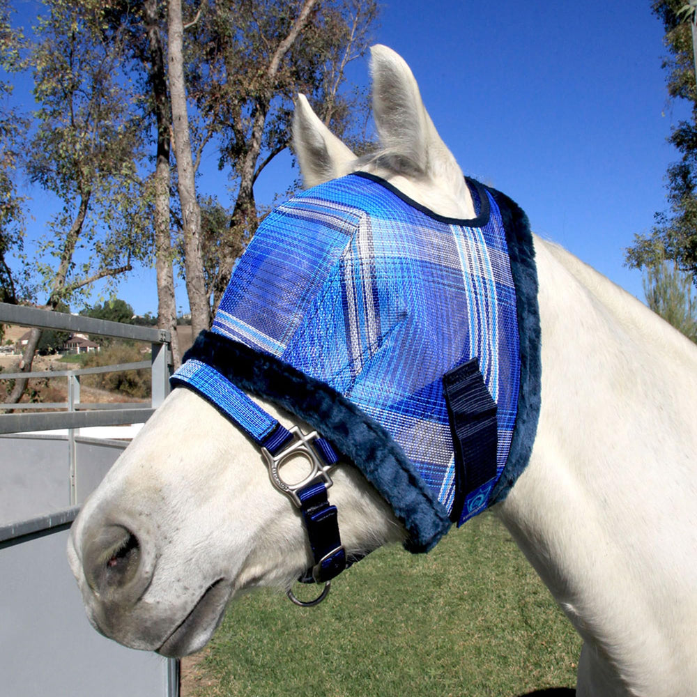 Kensington Fly Mask chin strap in use showing secure fit during rides.