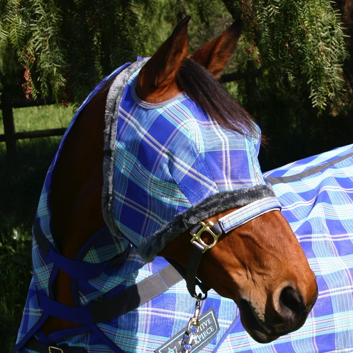 Top-through design shows ears and forelock passing through for comfortable wear.