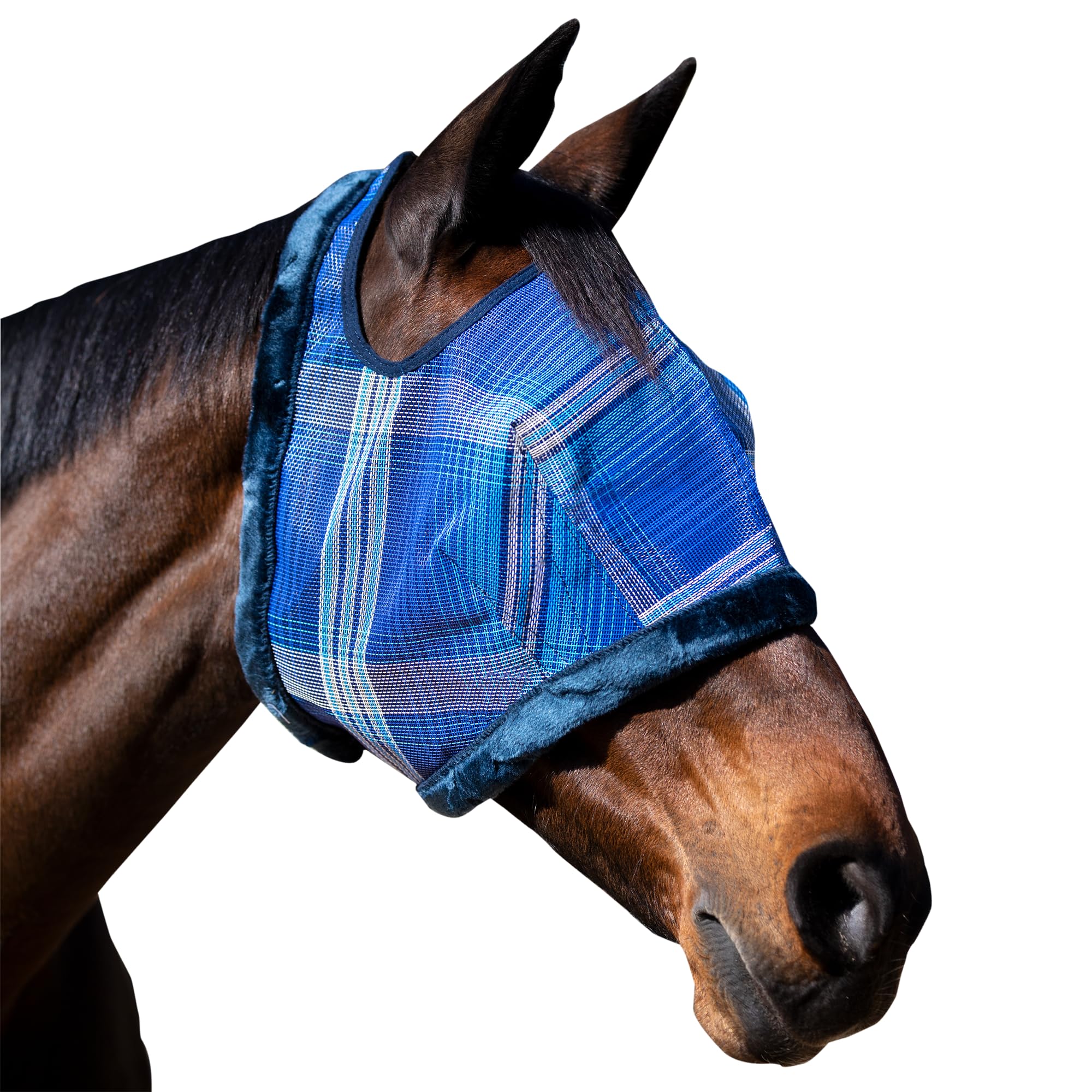 Kensington Fly Mask face close-up for protective coverage and clear horse visibility.