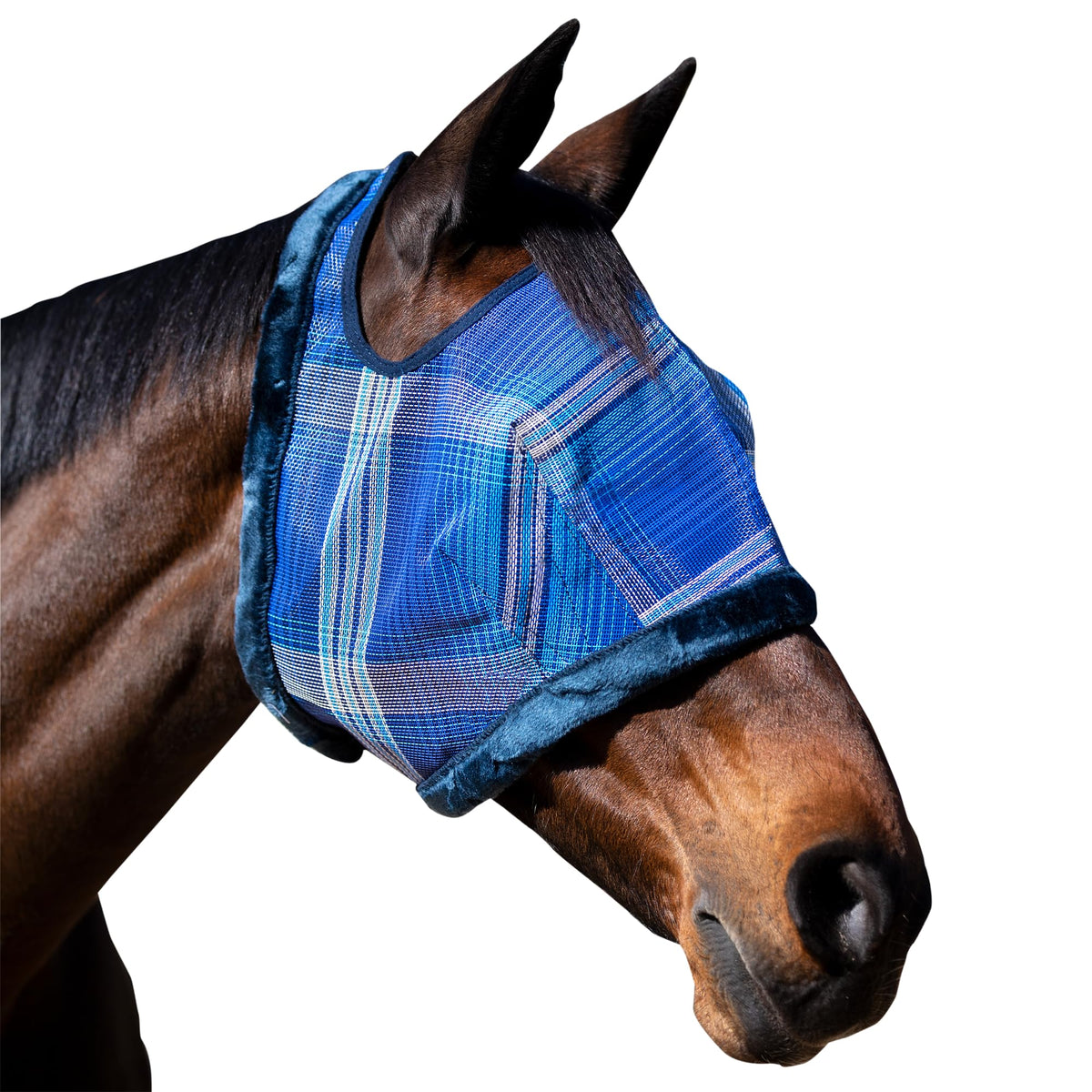 Kensington Fly Mask face close-up for protective coverage and clear horse visibility.