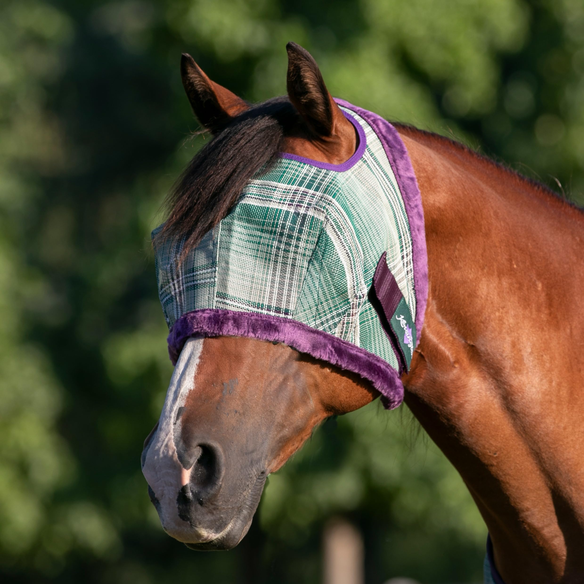 Kensington fleece-trim fly mask with chin strap stays in place during rides