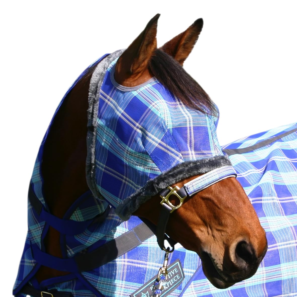 Kensington Fly Mask with fleece trim protects the horse’s face while maintaining visibility.