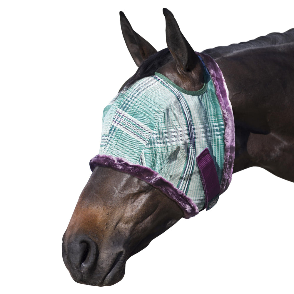 Kensington fly mask with fleece trim on horse face offering protection and clear vision