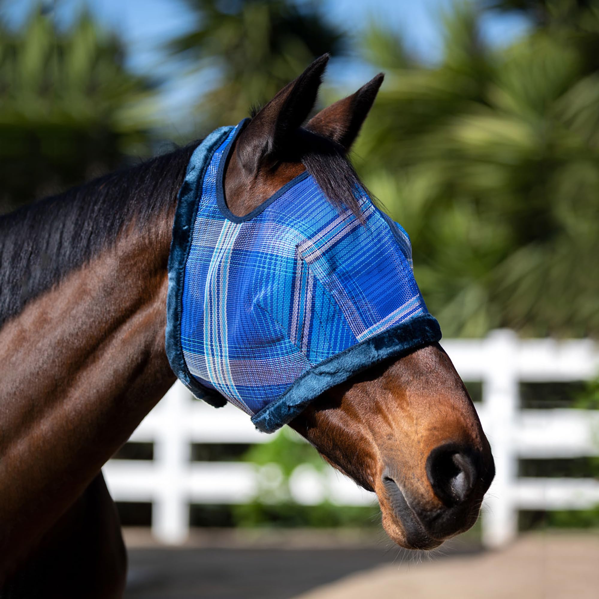 Kensington Fly Mask plaid trim image highlighting stylish, matching gear for a coordinated stable look.