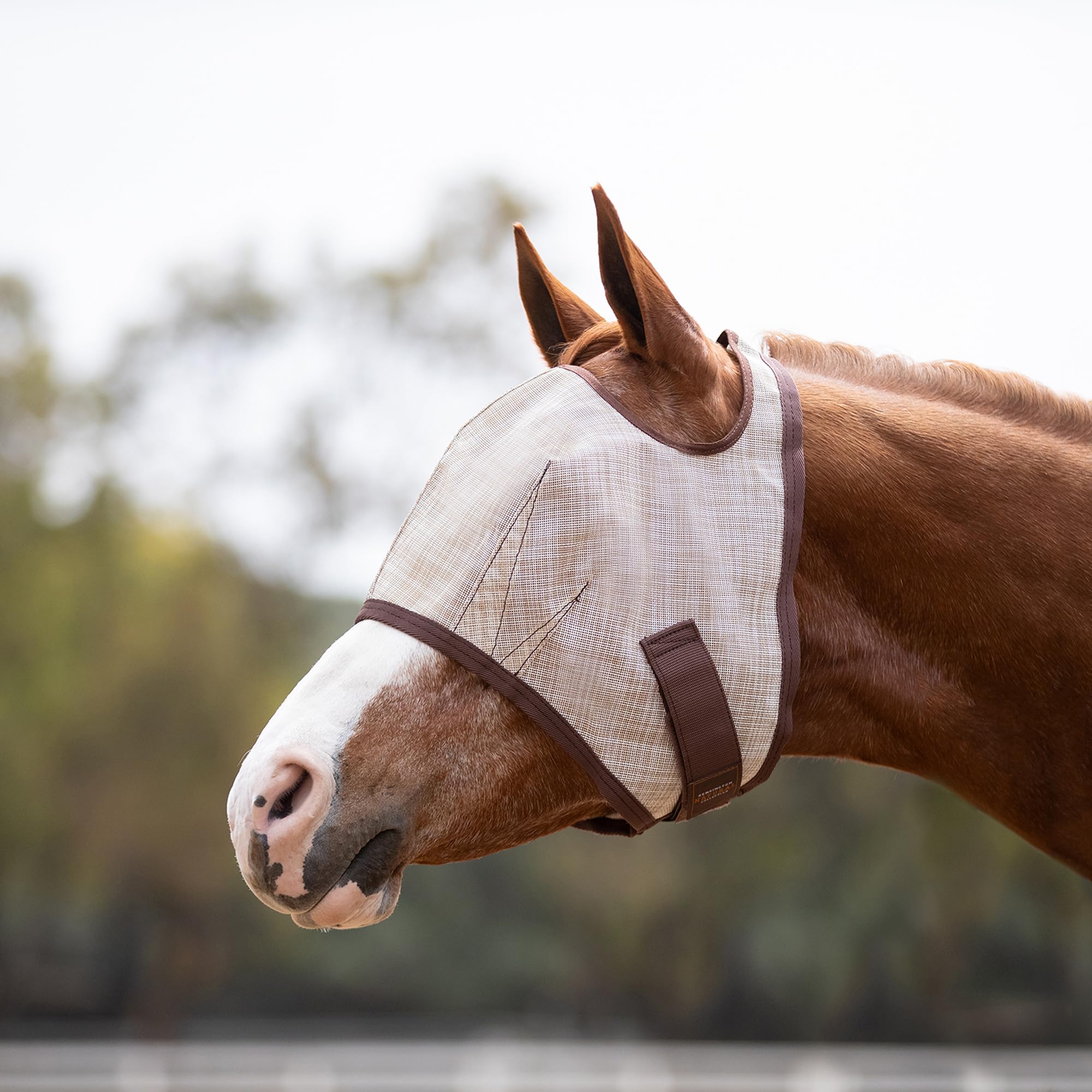 Kensington Fly Mask Web Trim demonstrates ears and forelock coming through for natural movement.