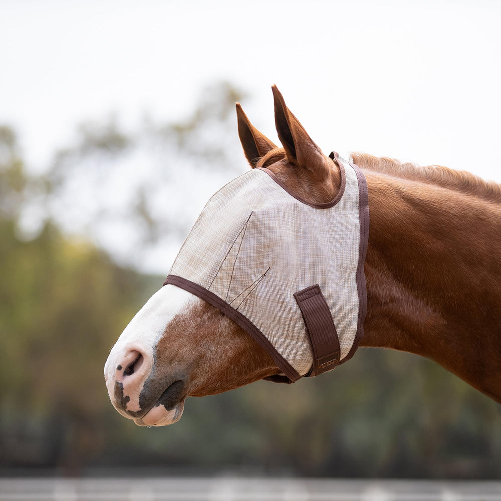 Kensington Fly Mask Web Trim demonstrates ears and forelock coming through for natural movement.