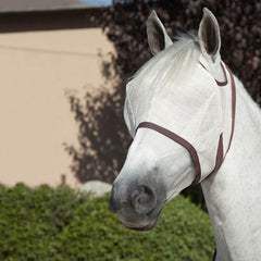 Kensington Fly Mask Web Trim shows eye area with protection against insects and sun.