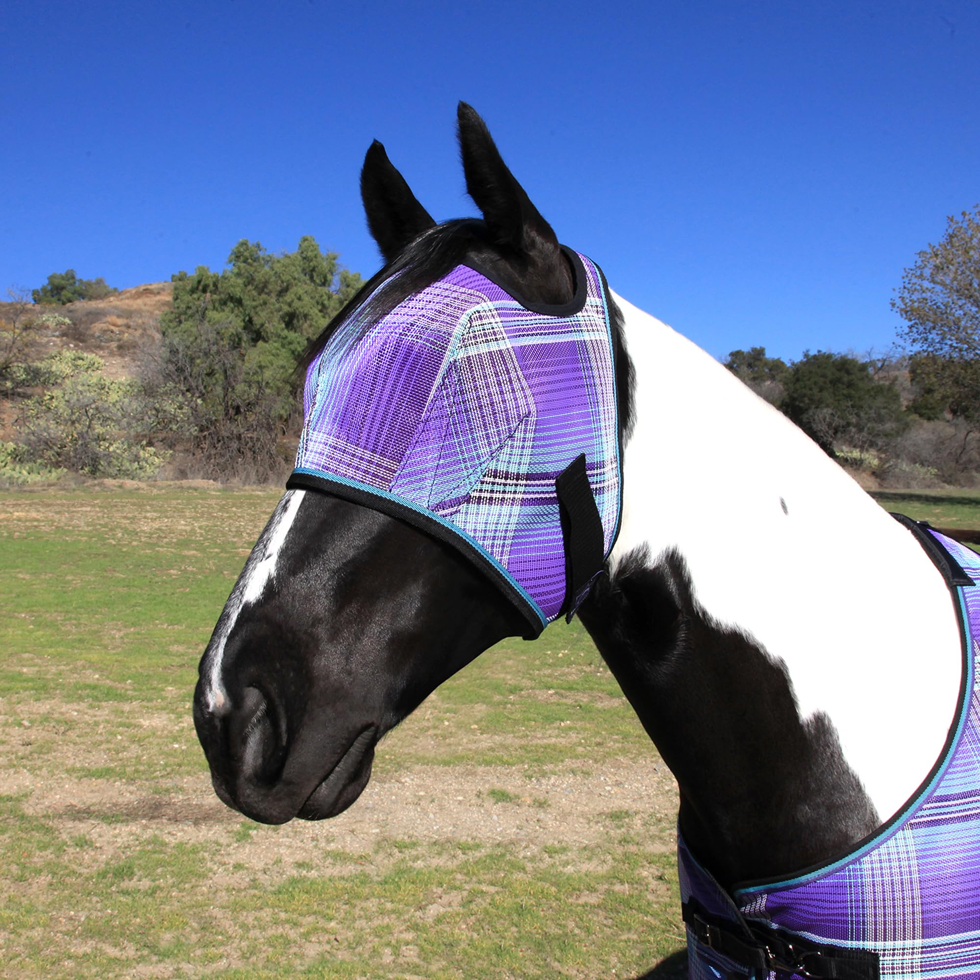 Kensington Fly Mask Web Trim demonstrates secure fit across medium to XL sizes.