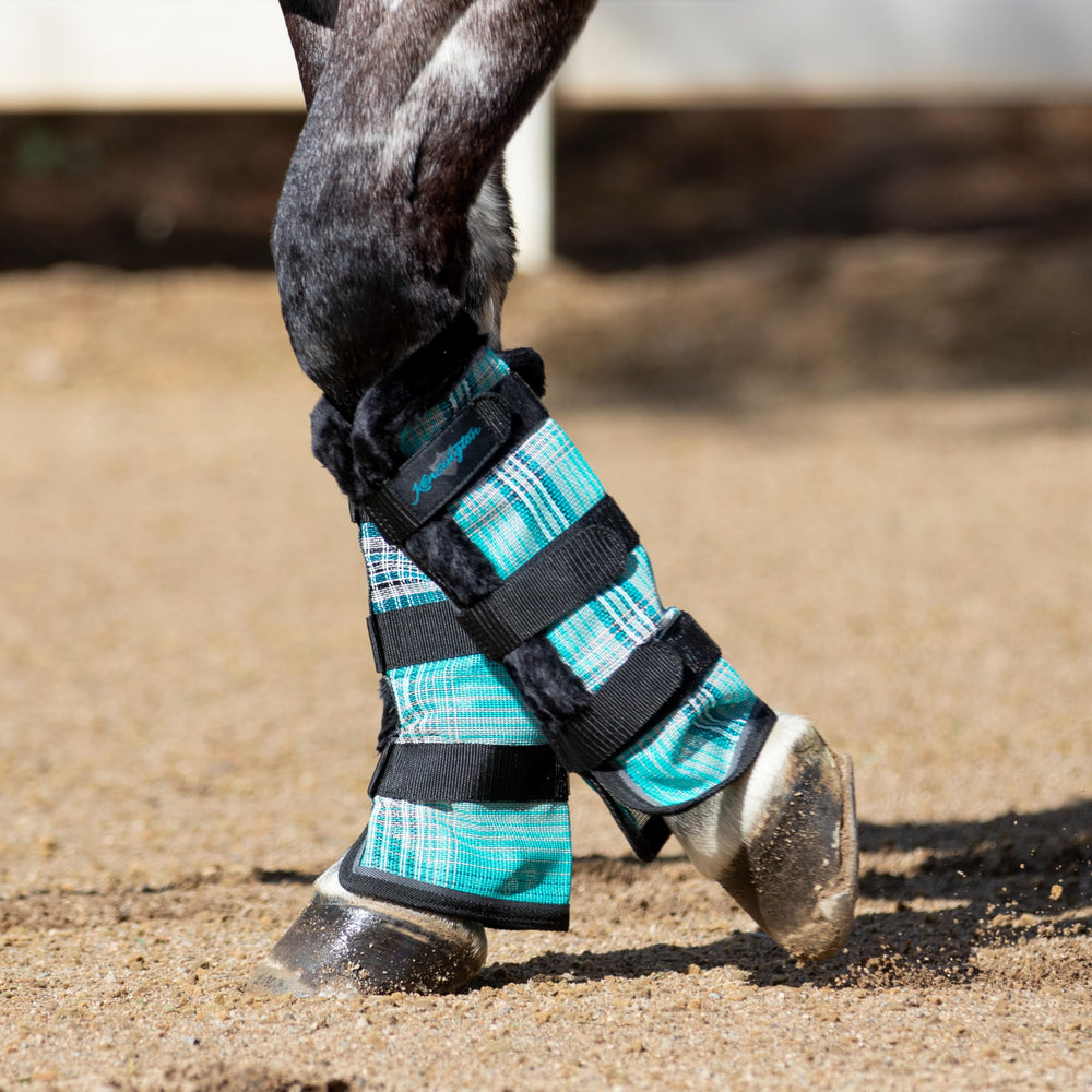 Kensington Protective Fly Boots on horse leg during turnout