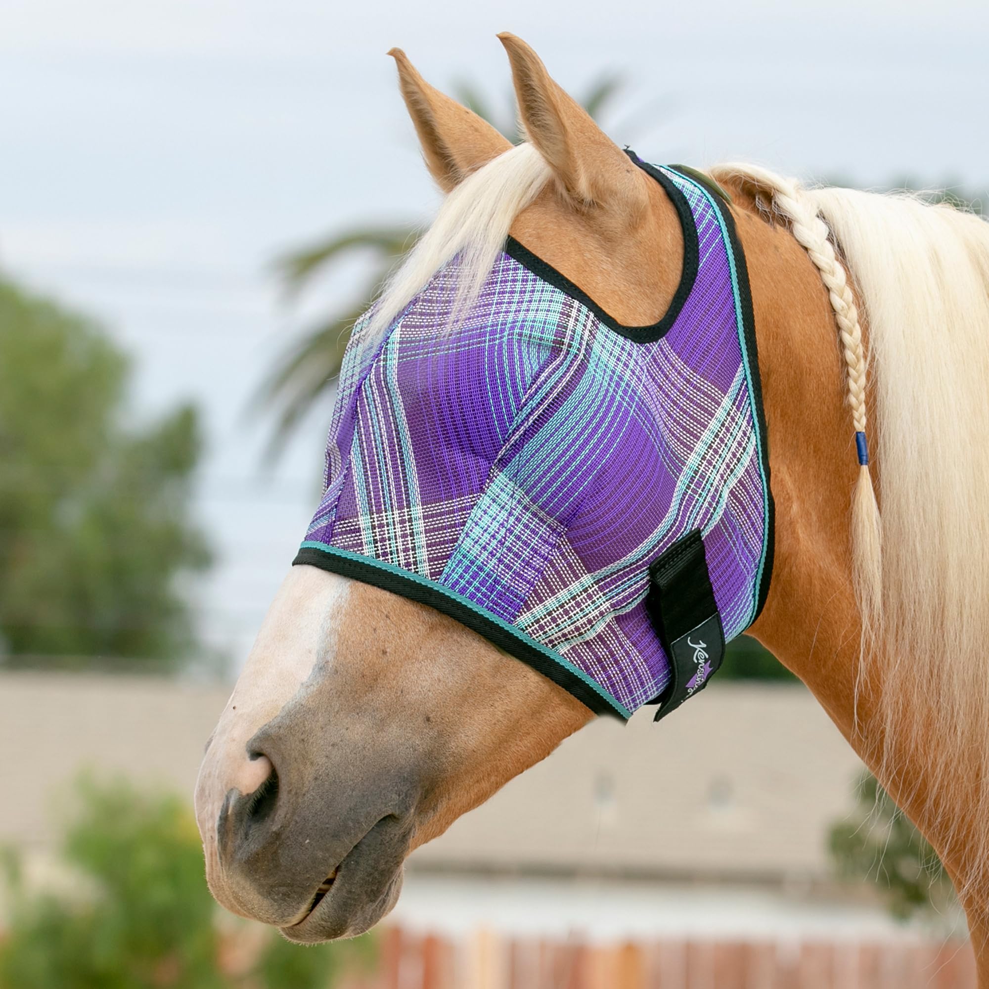 Kensington Fly Mask breathable webbing for airy wear