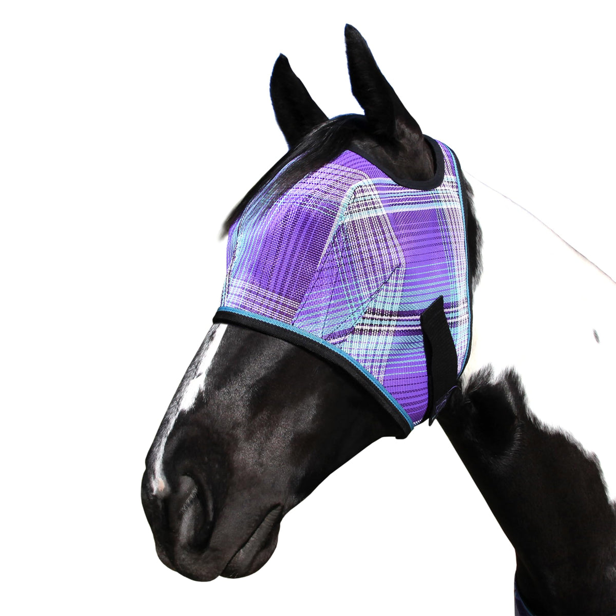 Kensington Fly Mask Web Trim closeup shows breathable facial protection
