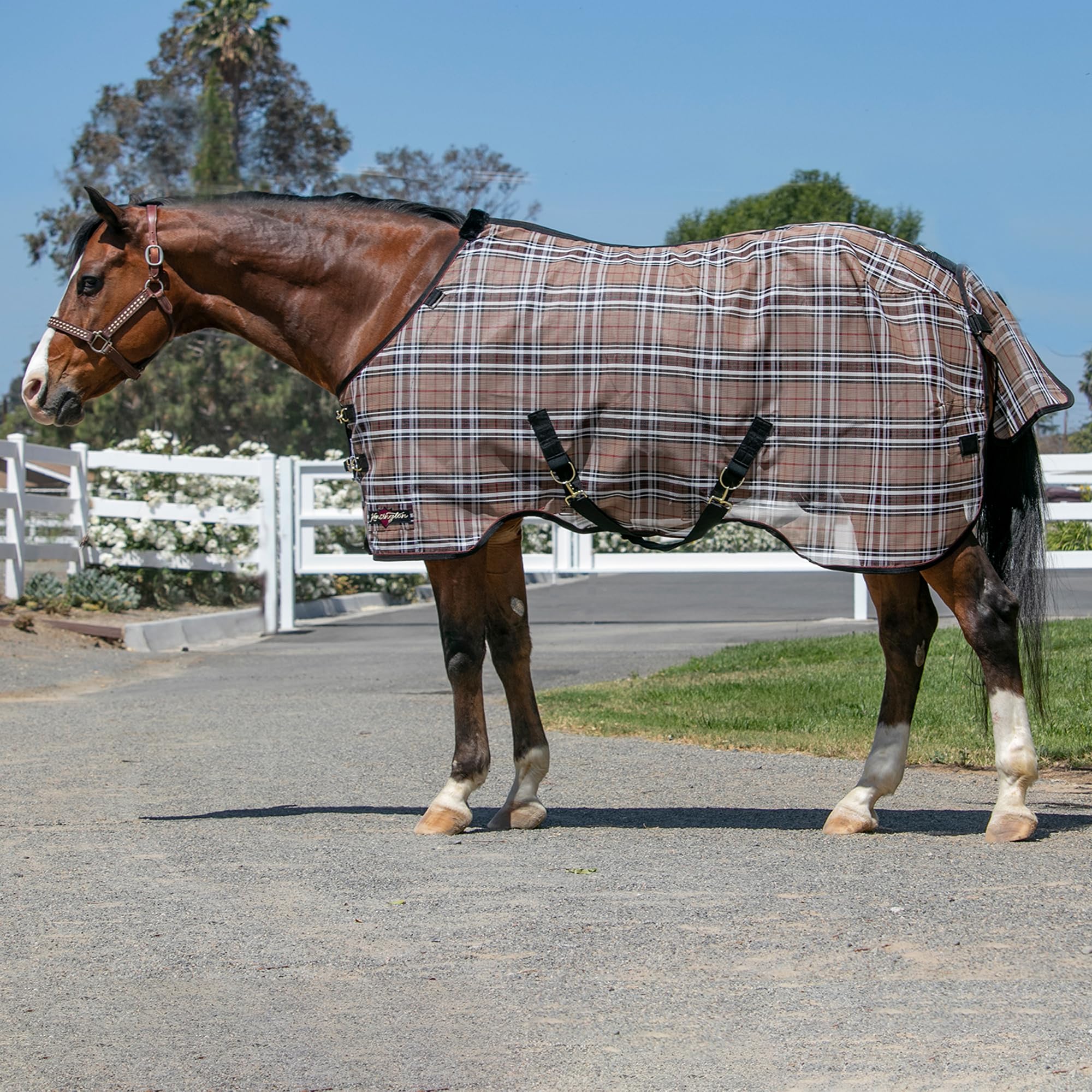Kensington Protective Sheet chest buckle provides easy on and off with a secure fit.