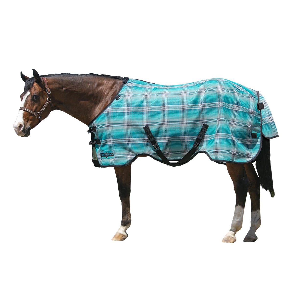 Kensington Protective Sheet front clip supports easy on-off during rides